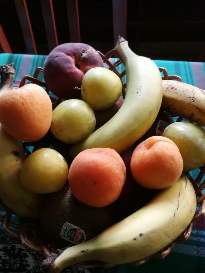 Pensio Can Fabrellas Sant Antoni De Calonge Zewnętrze zdjęcie