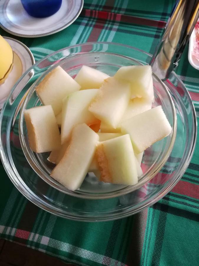 Pensio Can Fabrellas Sant Antoni De Calonge Zewnętrze zdjęcie